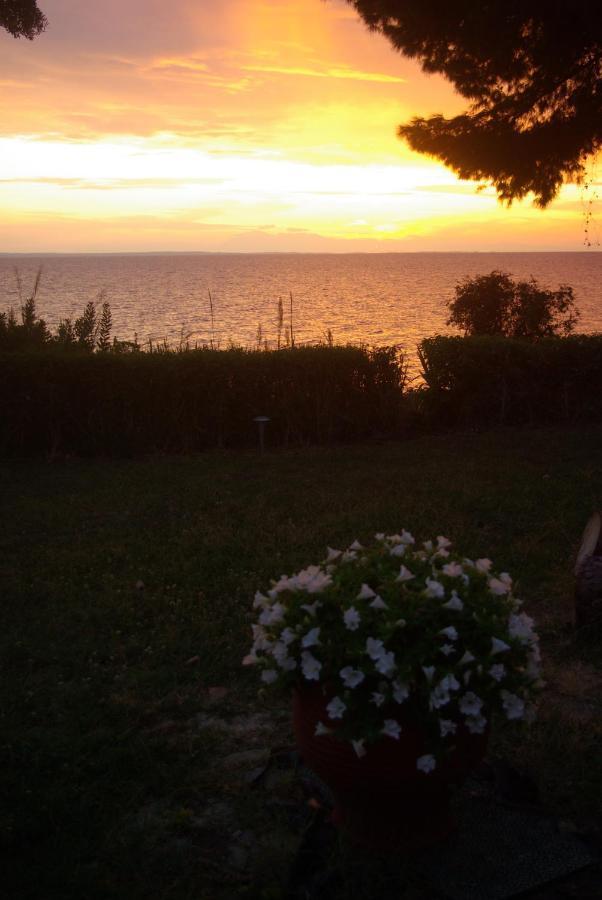 Seafront Studio - Akti Elia Nikiti  Esterno foto